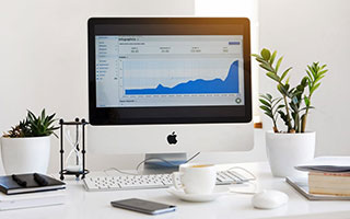 mg官方网站，背后的坚韧与不屈